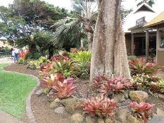 02_Hawaii_2 142.jpg (94053 bytes)